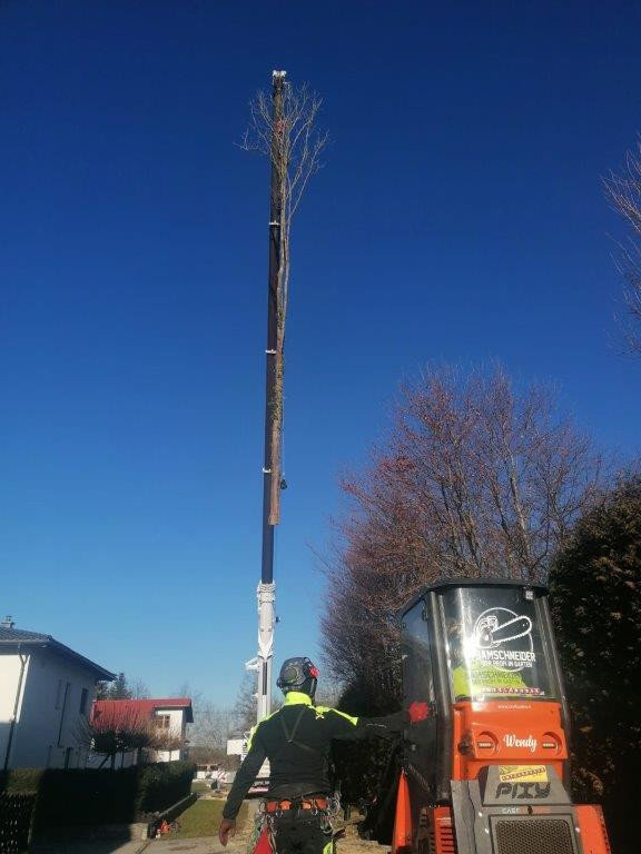 neuer Auftrag für Bamschneider e.U.