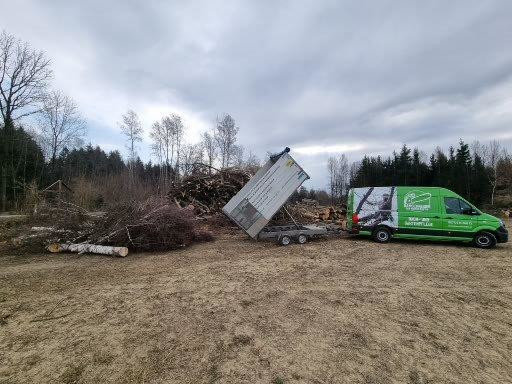 Abtransport von Altholz